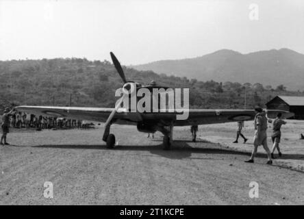 Royal Air Force - West Africa Command, 1941-1945. Groundcrew Rad eine Hawker Hurricane Mark IIB der Nr. 128 Squadron RAF auf die Startbahn am Hastings, Sierra Leone, für Sie aus. 128 Squadron war in Sierra Leone zwischen Oktober 1941 und März 1943 Um die Ports und Grundlagen der British West Afrika von Eindringen von Vichy Französisch Flugzeuge zu verteidigen. Stockfoto