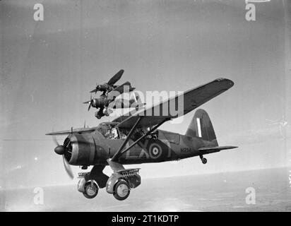 Nr. 22 (Armee Zusammenarbeit) Group, Royal Air Force, Juni - November 1940. Vier Westland Lysander Mark IIs (N 1294 "LX-T' Nächste) von Nr. 225 Squadron RAF an Tilshead, Wiltshire, fliegen in trat Steuerbord echelon Bildung bei einem. Stockfoto