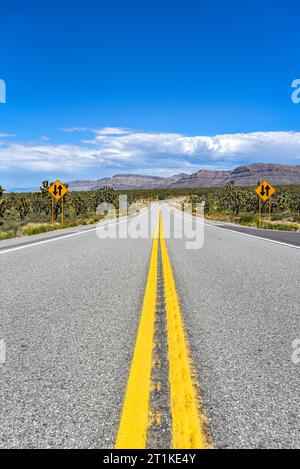 Fahrt auf der Diamond Bar Road von Las Vegas zum Grand Canyon West, Arizona Stockfoto