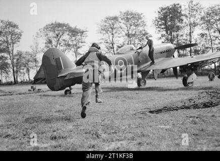 Ein Pilot der Nr. 175 Squadron RAF kriecht zu seinen wartenden Hawker Typhoon Mk IB Jagdbomber im Le Fresne-Camilly in der Normandie, 24. Juli 1944. Ein Pilot der Nr. 175 Squadron RAF kriecht zu seinen wartenden Hawker Typhoon Mark IB auf B5/Le Fresne-Camilly, nach einem Aufruf aus der Gruppe Control Center bestellen Air Strike. Stockfoto