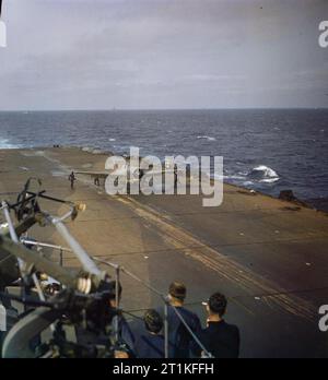 Nordafrikanischen Operationen, November 1942 eine Grumman Wildcat Kampfflugzeuge auf dem Flugdeck der Flugzeugträger HMS FORMIDABLE. Stockfoto