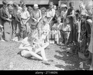 Bildung und Landwirtschaft an Ashwell Merchant Taylors Schule in der Nähe von Baldock, Hertfordshire, England, 1942 die Mädchen am Ashwell Merchant Taylors Schule in der Nähe von Baldock suchen nach ihren belgischen Hasen wie andere Schüler auf hinter einem Hähnchen Draht Zaun schauen. Die Haltung von diesen Hasen ist Teil der Kriegszeit landwirtschaftlichen Aktivitäten der Schule, die nach den ursprünglichen Bildunterschrift, der Anbau von 4 Morgen Land und die Führung der eigenen Schweine, Schafe und Ziegen. Stockfoto