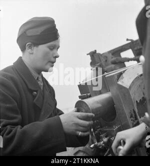 Girl Gunners - die Arbeit des Auxiliary Territorial Service an einer Experimental Station, Shoeburyness, Essex, England, 1943 die 17-jährige Private Edith Jackson lädt eine 25-Pfünder-Granate in eine Flugabwehrkanone an der Royal Artillery Experimentalstation in Shoeburyness, Essex. Die Granaten wurden bei Flut ins Meer abgefeuert. Laut der Originalüberschrift arbeitete Edith vor dem Krieg in einer Molkerei und füllte Milchflaschen ab. Kommentar : es scheint eine QF 25-Pfünder Feldpistole zu zeigen, keine Flugabwehrpistole. Stockfoto