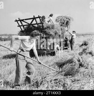 Die Ernte am Mount Barton, Devon, England, 1942 Land Mädchen Joan Tag, ihre Schwester Ivy, und Iris Andrews helfen einem Bauern geerntet Hafer in einen Lkw in der Sonne Last bei Hohlen Moor, Devon. Stockfoto