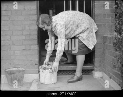 Küchenabfällen in Futtermitteln für Rinder - Bergung auf dem britischen Home Front, 1942 eine Hausfrau setzt eine Metall bin für den Hausgebrauch Botschaften an ihre Haustür, bereit für die Sammlung durch die bergung Van. Stockfoto