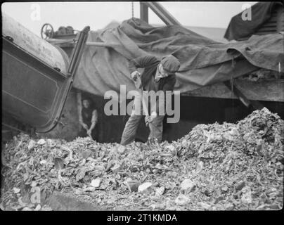 Küchenabfällen in Futtermitteln für Rinder - Bergung auf dem britischen Home Front, 1942 Bergung Arbeitnehmer schaufel Haushalt Reste aus einem dustcart auf einen großen Haufen im Depot, irgendwo in Großbritannien. Stockfoto