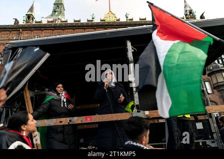 Pro-palästinensische Demonstranten in Kopenhagen, Dänemark am Samstag, den 14. Oktober 2023. Tausende von Menschen marschierten am Samstag von Noerrebro nach Raadhuspladsen in Kopenhagen und forderten die Aufmerksamkeit auf die Bevölkerung in Gaza. Stockfoto