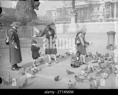 London im Frühjahr 1941 - Alltag in London, England ein kanadischer Soldat sieht aus wie eine Frau und ihre Kinder die Tauben auf dem Trafalgar Square. Stockfoto