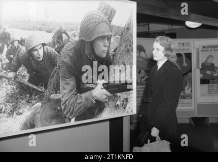 Ministerium für Information Ausstellungen während des Zweiten Weltkrieges, London, England, UK, 1943 eine junge Frau von Royal Naval der Frauen betrachtet ein großes Foto der Russischen Infanteristen in einer Ausstellung, die wahrscheinlich in London statt. Die Ausstellung wird sowohl auf die Arbeit der Roten Armee haben und auch auf das normale Leben für Zivilisten in der Sowjetunion. Stockfoto