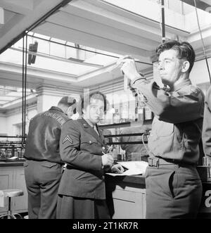 Wissenschaft Studenten bei der Arbeit im Labor der US-Armee Universität, Shrivenham, Wiltshire, in 1945. Wissenschaft Studenten bei der Arbeit im Labor der US-Armee Universität, shrivenham. Von links nach rechts sind es: Staff Sergeant William F Lowdermilk (zurück zu Kamera, das Tragen eines fliegenden Jacke mit Reise der Wörter für Aktion" auf der Rückseite), Barbara L Royea und Pfc Leo Reilly. S/Sgt Lowdermilk ist auf Urlaub von 96Th Bombardement Group. Barbara Royea eine Pause von der Arbeit an den US Air Transport Command Basis in Wigginton Chemie und Biologie zu studieren: Sie will eine Krankenschwester zu werden. Pfc-Reilly, ser Stockfoto