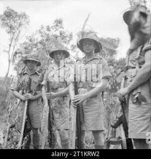 Die britische Armee in Malaya 1941 Männer der 1. Manchester Regiment mit getarnt topees Ausbildung im malayischen Dschungel, 17. Oktober 1941. Stockfoto