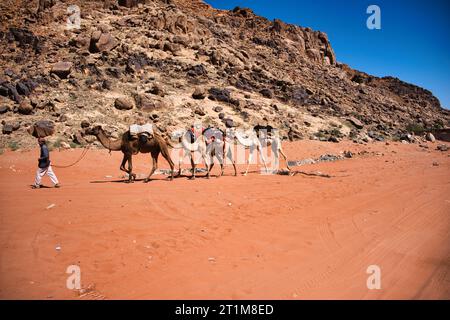 Sands and Stars: Wadi Rum Chronicles Stockfoto