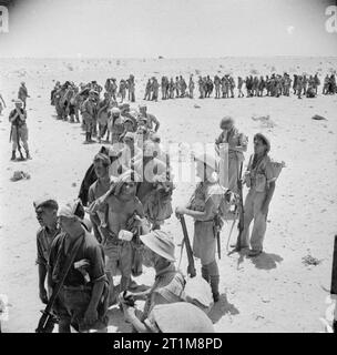 Der britischen Armee in Nordafrika 1942 eine Linie von Deutschen und Italienischen Gefangenen während der Vorschuß auf die Ruweisat Ridge warten auf Ihre Rationen gefangen, Juli 1942. Stockfoto