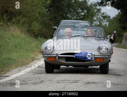 Tavoleto , Italien - Sept. 16 - 2023: Jaguar E TYP 1963 in coppa nuvolari Old Racing Stockfoto