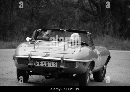 Tavoleto , Italien - Sept. 16 - 2023: Jaguar E TYP 1963 in coppa nuvolari Old Racing Stockfoto