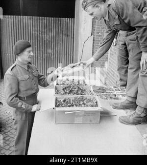 Deutschland unter alliierter Besatzung Staff Sergeant J W Seston von Chesterfield erhält eine Box mit Mohnblumen für seine Einheit in der Vorbereitung für Tag der Erinnerung. Stockfoto