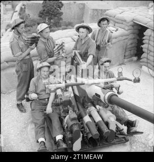 Die britische Armee auf Malta 1942 eine 40 mm Bofors anti-aircraft Gun und Crew, Malta, 12. Mai 1942. Stockfoto