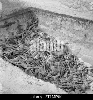 Die Befreiung der Konzentrationslager Bergen Belsen, April 1945 die Leichen der Toten liegen auf Beerdigung in einem Massengrab auf dem Camp. Stockfoto