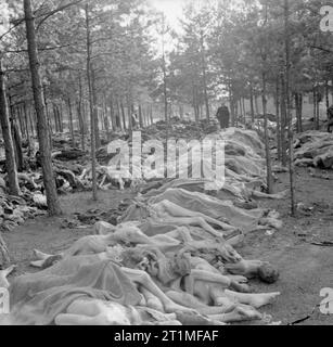 Die Befreiung der Konzentrationslager Bergen Belsen, April 1945 Haufen von Leichen erwarten Beerdigung in Massengräbern. Stockfoto