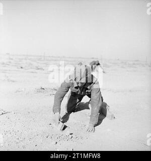 Die polnische Armee in der Western Desert Campaign, 1940-1942 diese Bilder ganz nach vorn stellen um Carmuset äh Regem (Karmusat ar Rijam) Fläche in der Nähe von Gazala, zeigen die Infanterie und Artillerie der Polnischen unabhängigen Karpaten Gewehre Brigade mit Deutschen und Italienischen Kräfte genommen. Stockfoto