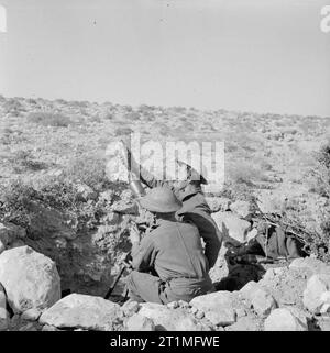 Die polnische Armee in der Western Desert Campaign, 1940-1942 diese Bilder ganz nach vorn stellen um Carmuset äh Regem (Karmusat ar Rijam) Fläche in der Nähe von Gazala, zeigen die Infanterie und Artillerie der Polnischen unabhängigen Karpaten Gewehre Brigade mit Deutschen und Italienischen Kräfte genommen. Stockfoto