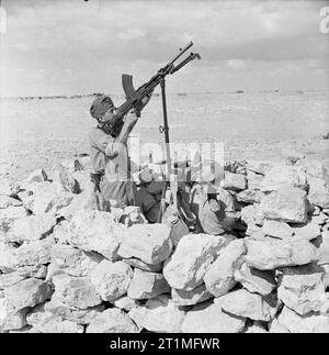 Die Polnischen unabhängigen Karpaten Gewehre Brigade bei der Belagerung von Tobruk, 1941 Truppen der Polnischen unabhängigen Karpaten Gewehre Brigade in einem Bren machine gun Post. Soldaten der Brigade zeichneten sich während der Belagerung von Tobruk und erwarb einen Spitznamen "die Ratten von Tobruk'. Stockfoto