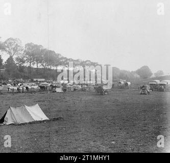 Die Schlacht an der Somme, Juli - November 1916 Französische transport Lager und Pferd Linien (rechte Hälfte Panorama), Juli 1916. Stockfoto