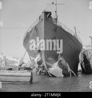 Operation Pedestal, August 1942 15. August: Ankunft der BRISBANE STERN in Malta: Die BRISBANE Sterne an ihrem Liegeplatz im Grand Harbour in Valletta. Kopf auf Sicht von beschädigten Bug des Schiffes. Stockfoto