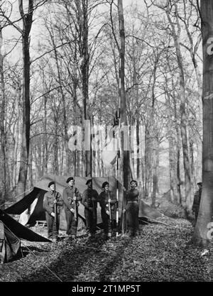 Die Royal Navy während des Zweiten Weltkriegs Royal Marines hissen die ersten weißen Stern in Deutschland während 'Farben' im Wald bin olcab" (mobile Landing Craft Advanced Base) am Reichswald, Deutschland, die Basis zu geflogen werden, spielt eine wichtige Rolle in der Armee Überquerung des Rheins. Stockfoto