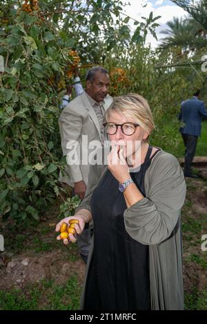 Mezguita, Marokko. Oktober 2023. Die Ministerin für Entwicklungszusammenarbeit und Metropolitanpolitik, Caroline Gennez, schmeckt während eines Besuchs im Palmengarten Palmeraie Mezguita im Rahmen eines Arbeitsbesuchs der Entwicklungsministerin in Marokko am Samstag, den 14. Oktober 2023, ein Palmdate. BELGA PHOTO JONAS ROOSENS Credit: Belga News Agency/Alamy Live News Stockfoto