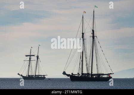 Die Segelschiffe Pacific Swift und Pacific Grace vor Anker in der Cadboro Bay in Saanich, British Columbia, Kanada. Stockfoto