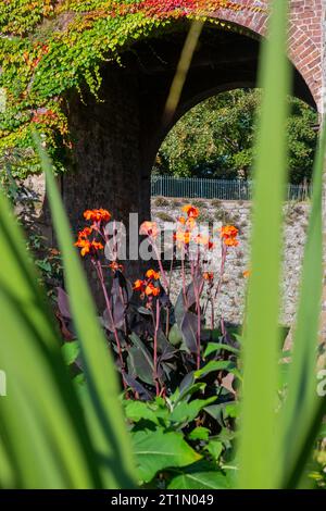 Walmer Castle Gardens, in Walker bei Dover und Deal in Kent. 1540 erbaut und später eines der Häuser der Königin Mutter. Stockfoto