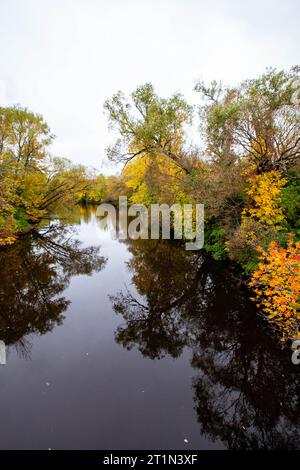 Der Fluss führt durch einen bunten Wald in Merril, Wisconsin, vertikal Stockfoto