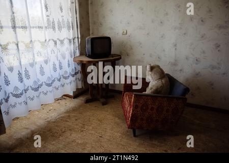 Der alte Teddybär sitzt auf dem Stuhl und sieht fern. Stockfoto