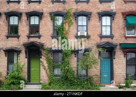 Altmodische Backsteingebäude aus dem 19. Jahrhundert mit Weinstöcken und verzierten Fensterrahmen Stockfoto