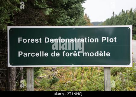 Schild für die Waldvorführung im Terra Nova National Park in Glovertown, Neufundland und Labrador, Kanada Stockfoto