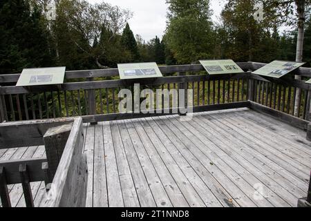 Walddemonstrationsfläche im Terra Nova National Park in Glovertown, Neufundland und Labrador, Kanada Stockfoto