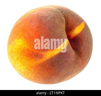 Pfirsich isoliert auf weißem Hintergrund. Voll fokussiertes Obst für den Einsatz im Design. Stockfoto