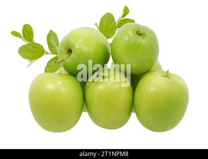 Frische Jujubes-Früchte, isoliert auf weißem Kieselboden Stockfoto