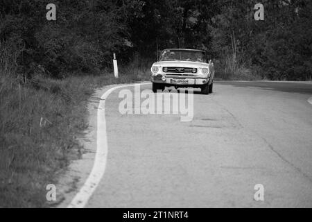 Tavoleto , Italien - Sept. 16–2023: FORD MUSTANG GT 1966 in coppa nuvolari Old Racing Stockfoto