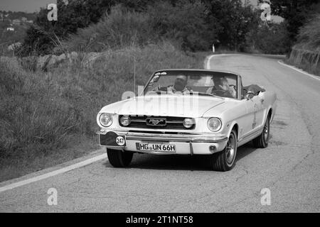 Tavoleto , Italien - Sept. 16–2023: FORD MUSTANG GT 1966 in coppa nuvolari Old Racing Stockfoto