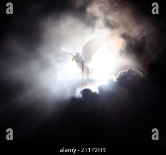 Pfingstkonzept mit heller Sonne und Licht, das durch dunklen Himmel und Wolken scheint, weiße Taube, die mit Blättern in der Hand fliegt, Symbol für Freiheit und Frieden Stockfoto