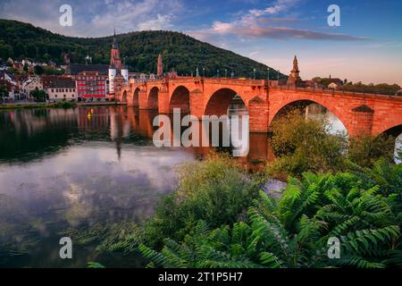 Heidelberg, Deutschland. Stadtbild der historischen Stadt Heidelberg mit dem Alten Brückentor bei Sonnenaufgang im Herbst. Stockfoto