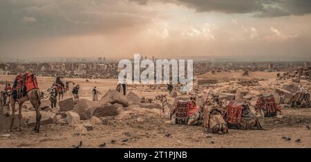 Kairo Ägypten Dez 2022 Tourismus und Kameltransport an den Pyramiden von Gizeh Stockfoto