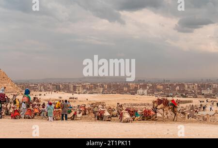 Kairo Ägypten Dez 2022 Tourismus und Kameltransport an den Pyramiden von Gizeh Stockfoto