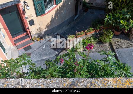 Blick aus der Höhe auf eine schmale bergauf Gasse im mittelalterlichen Dorf mit Topfpflanzen im Frühling, Finalborgo, Finale Ligure, Savona, Ligurien, Italien Stockfoto