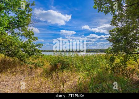 Blick auf den See La Mer Rouge im Nationalpark Brenne, Indre (36), Frankreich. Stockfoto