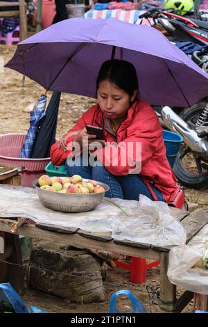 Cau Marktszene, Vietnam. Junge Hmong-Frau mit Obst zum Verkauf. Provinz Lao Cai. Stockfoto