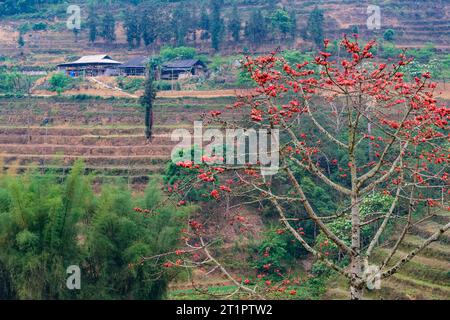 Can Cau, Vietnam. Malerische Landschaft, Provinz Lao Cai. Stockfoto