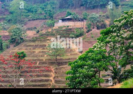 Can Cau, Vietnam. Malerische Landschaft, Provinz Lao Cai. Stockfoto